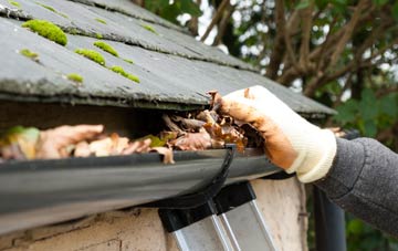 gutter cleaning Buckpool