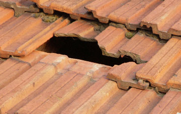 roof repair Buckpool