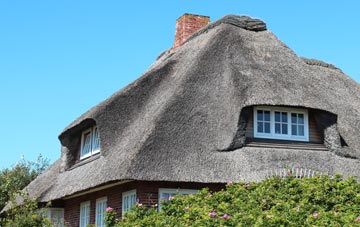 thatch roofing Buckpool